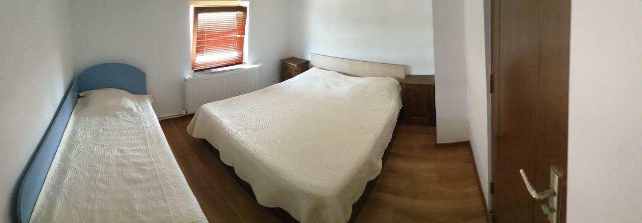 Penzion Casa Marcone Partizanii Exteriér fotografie
